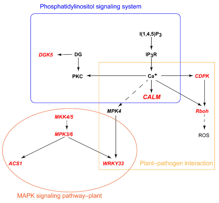 Figure 7