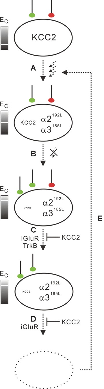 Fig. 9