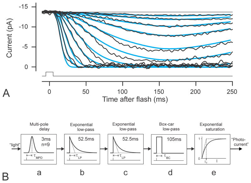 Fig. 2