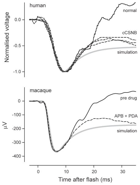 Fig. 9