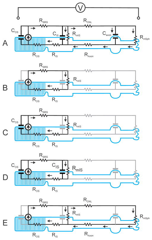 Fig. 4