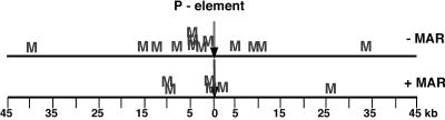 FIG. 6.