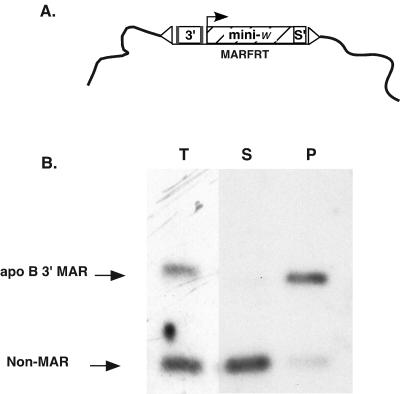 FIG. 5.