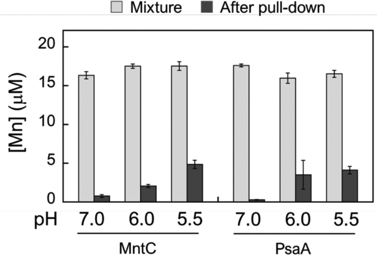 Figure 10.