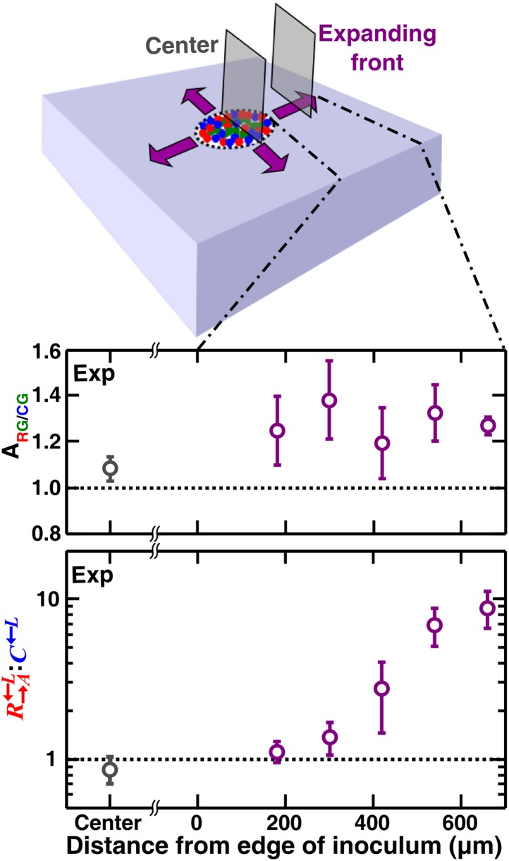 Figure 7.