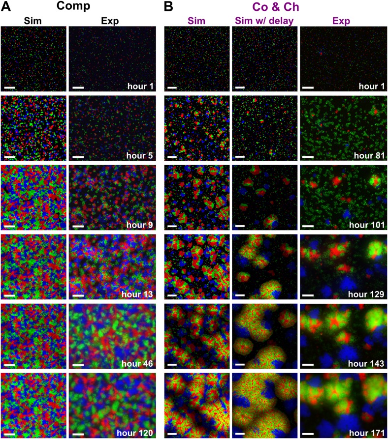 Figure 3—figure supplement 1.