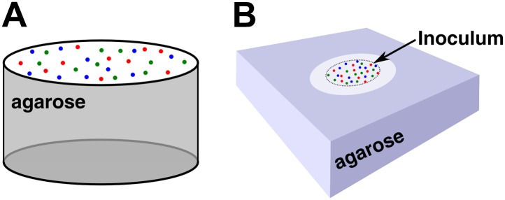 Figure 1—figure supplement 1.