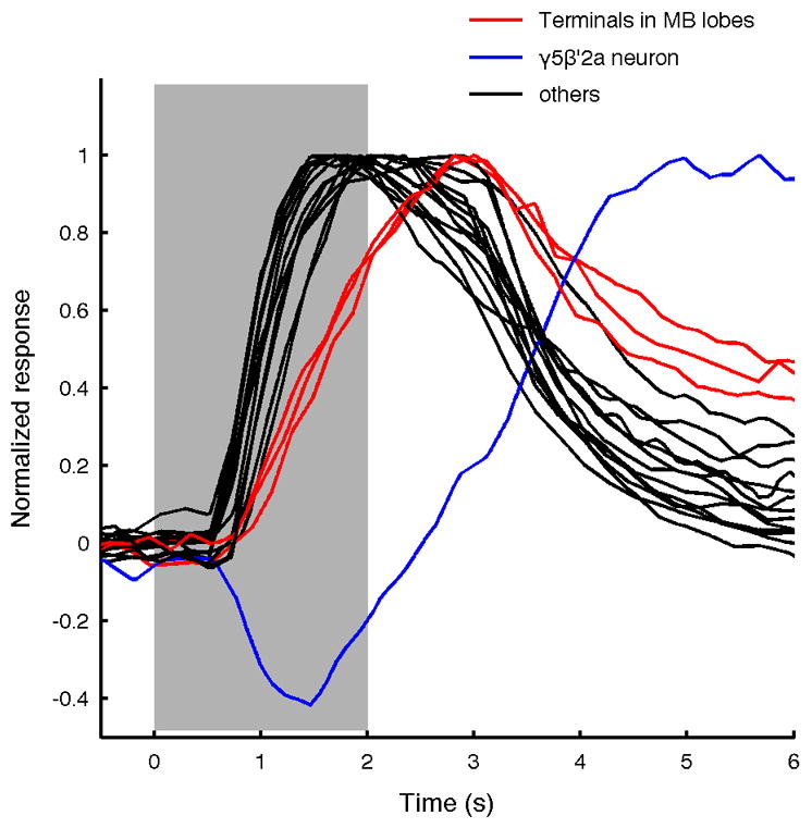 Extended Data Figure 4