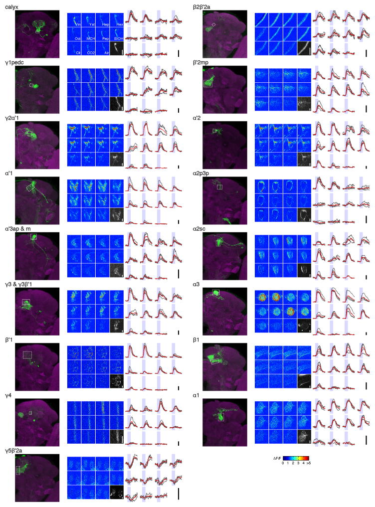 Extended Data Figure 2