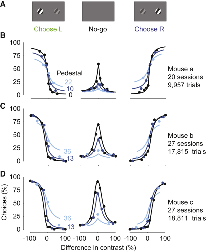 Figure 6