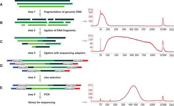 Figure 1.