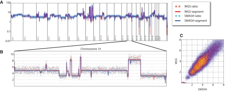 Figure 4.