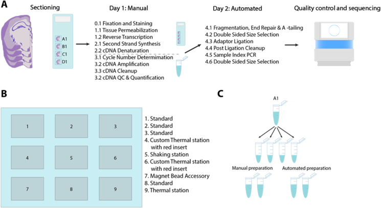 Figure 1