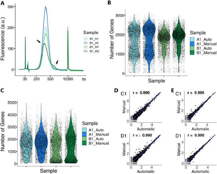 Figure 2