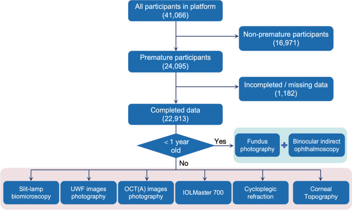 Fig. 2