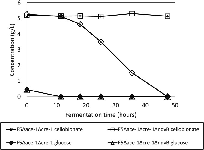 FIG 2