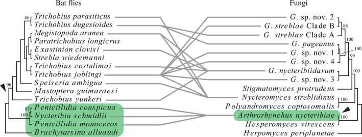 Figure 7