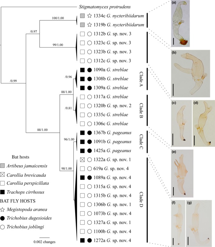 Figure 4