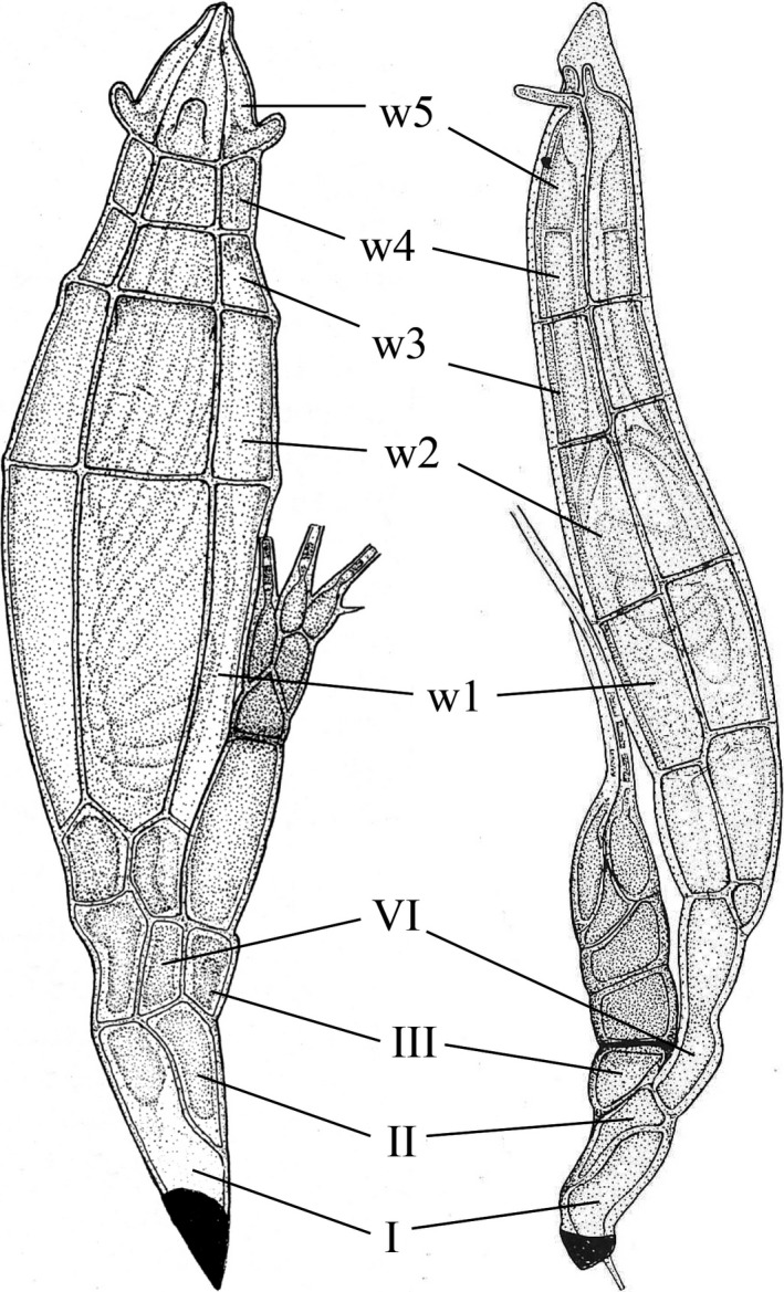 Figure 8