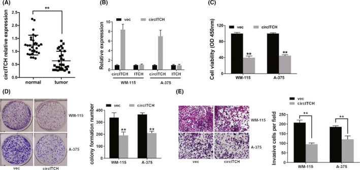 FIGURE 1