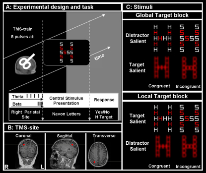 Figure 1