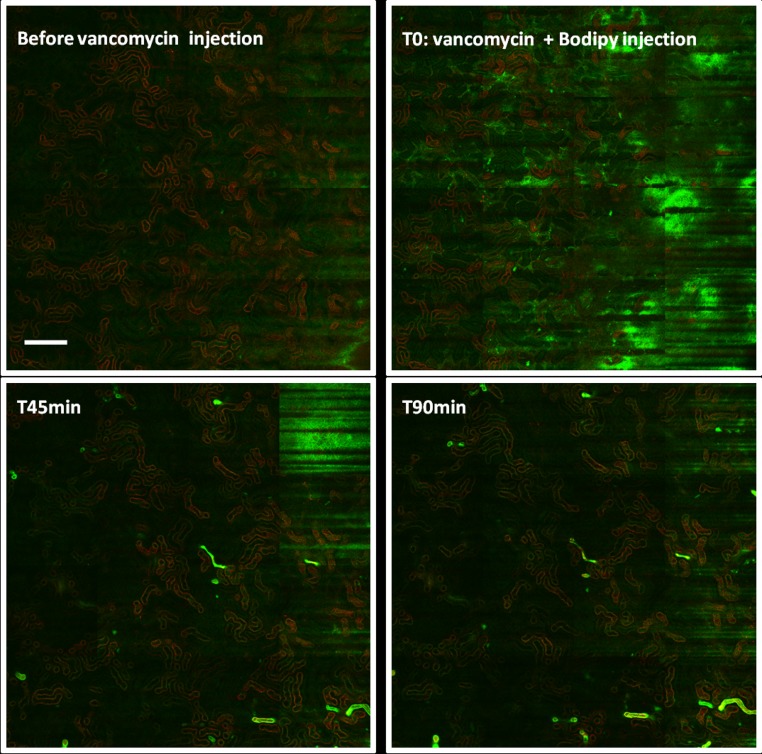 Figure 4.