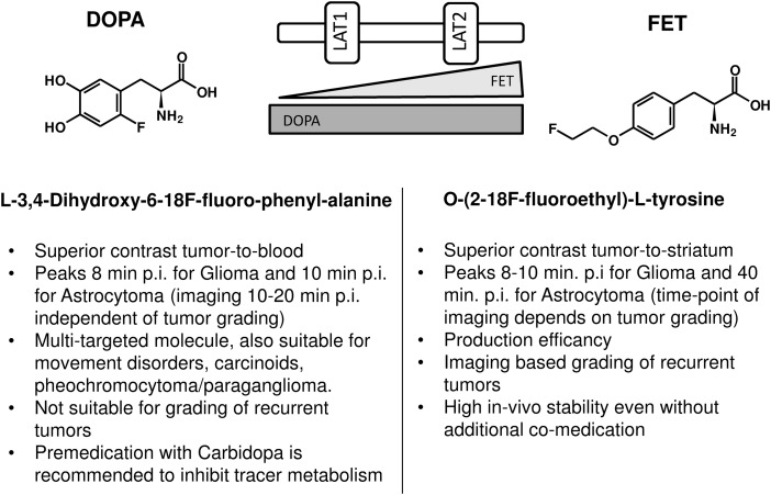 Fig. 6.