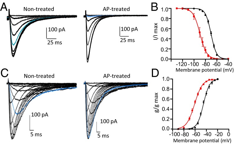 Fig. 2.