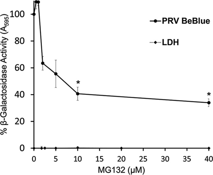 FIG 6