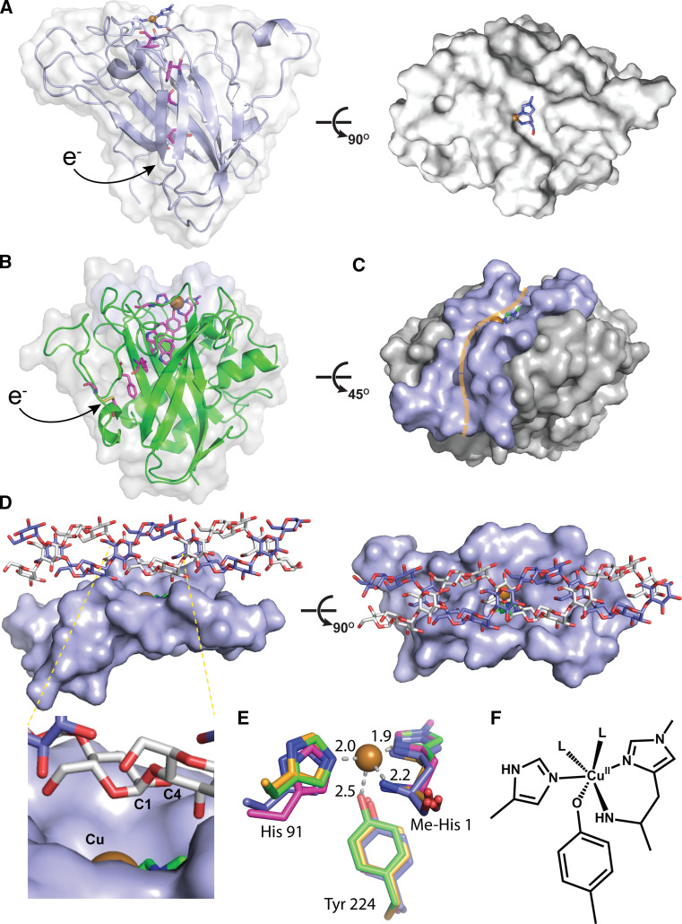 Fig. 2