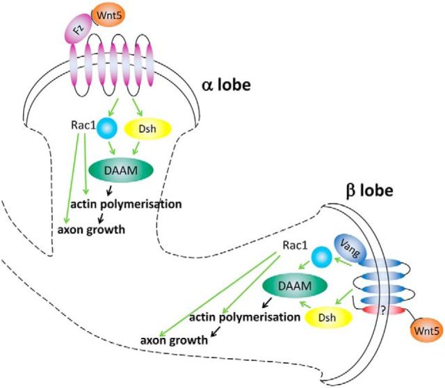 Figure 10.