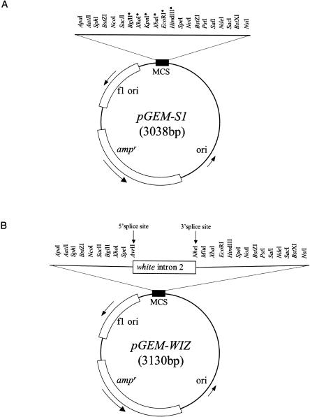 FIGURE 1.