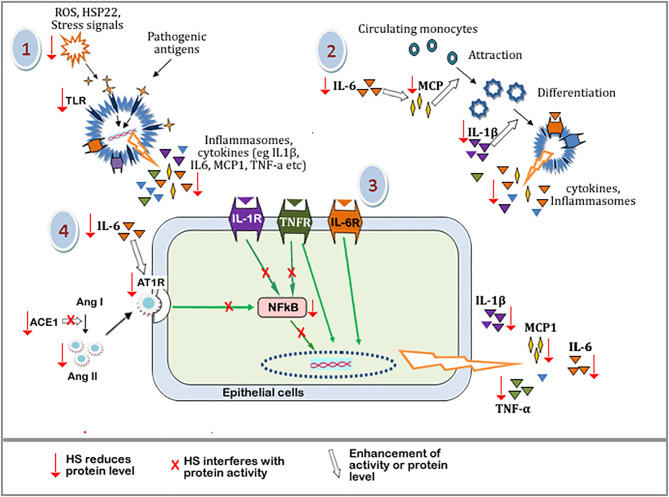 Figure 14