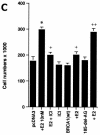 FIG. 2.
