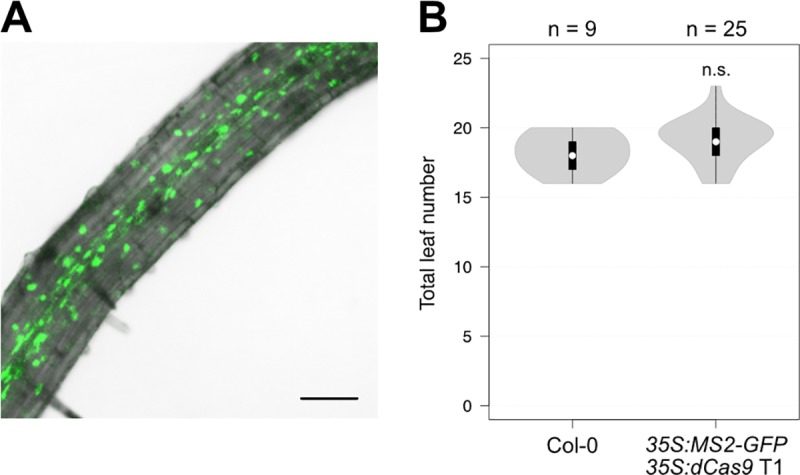 Fig 3