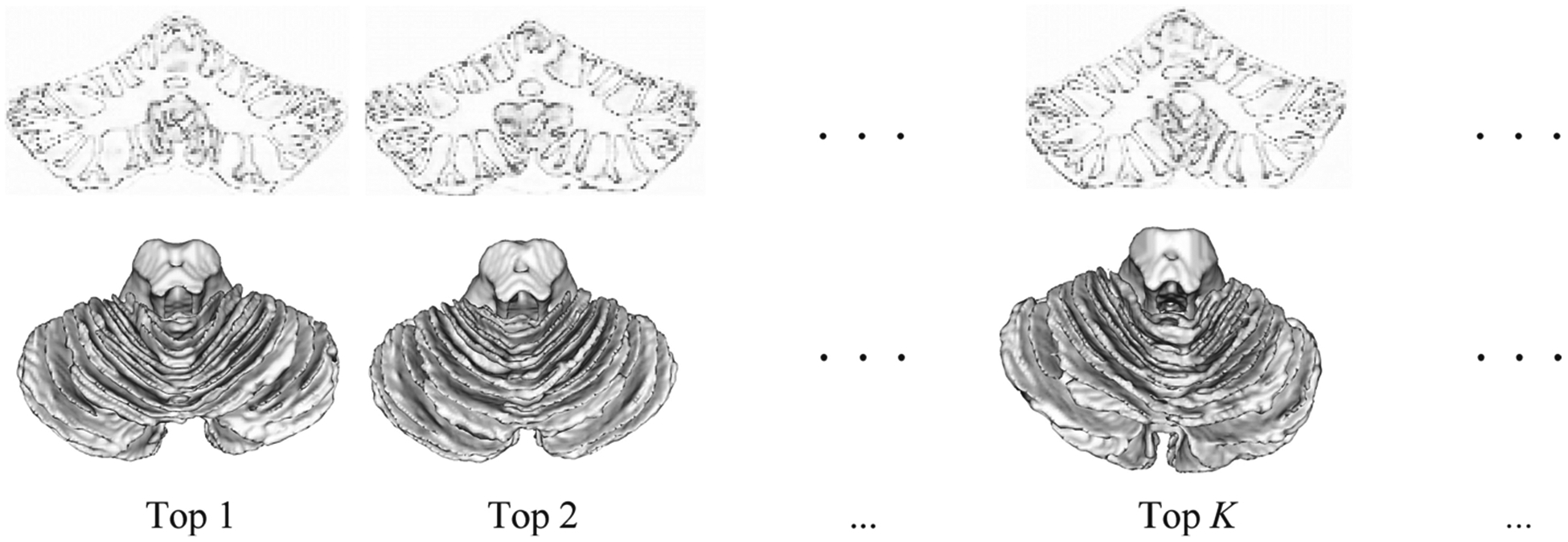 Fig. 4.