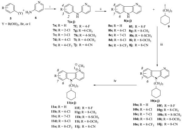 Scheme I