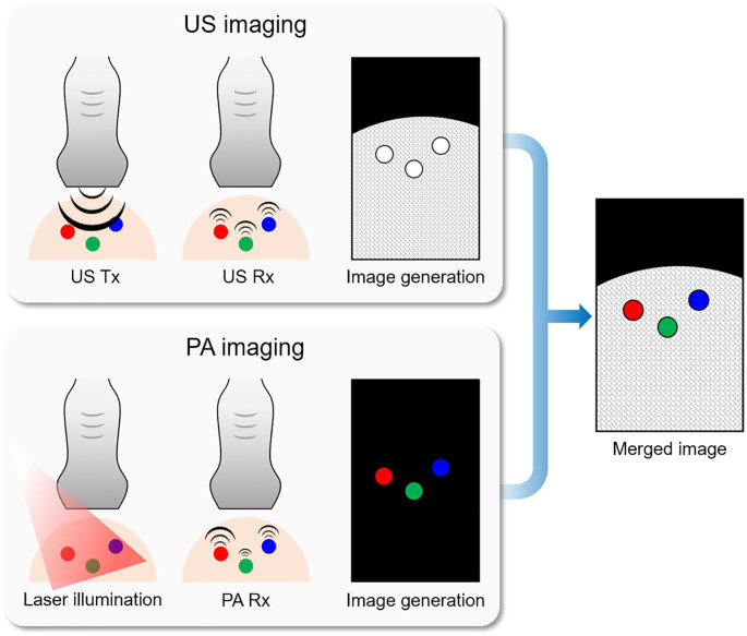 Figure 1.