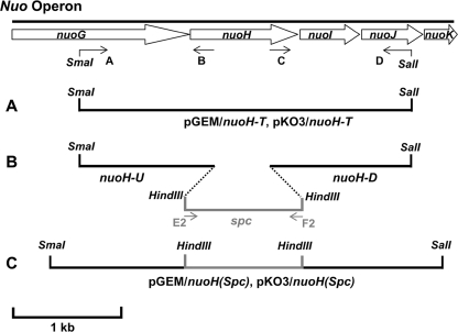 FIGURE 1.