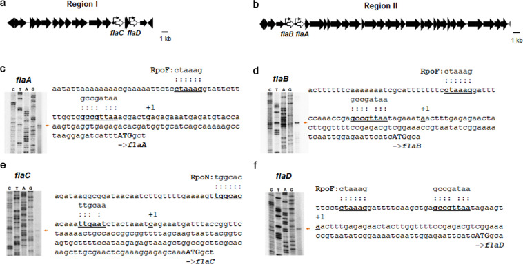 Fig. 9