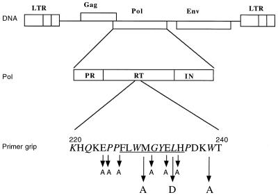 FIG. 1