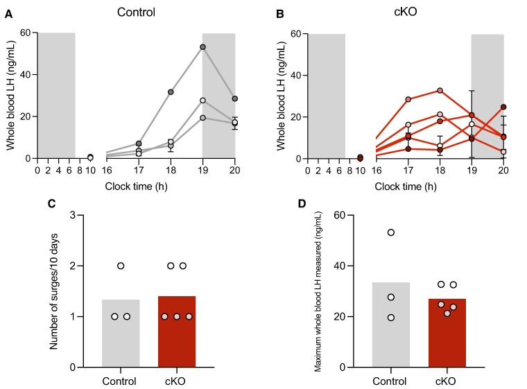 Figure 6.