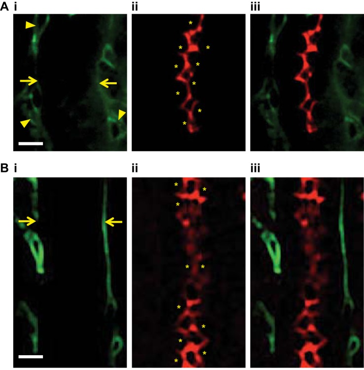 Fig. 8.