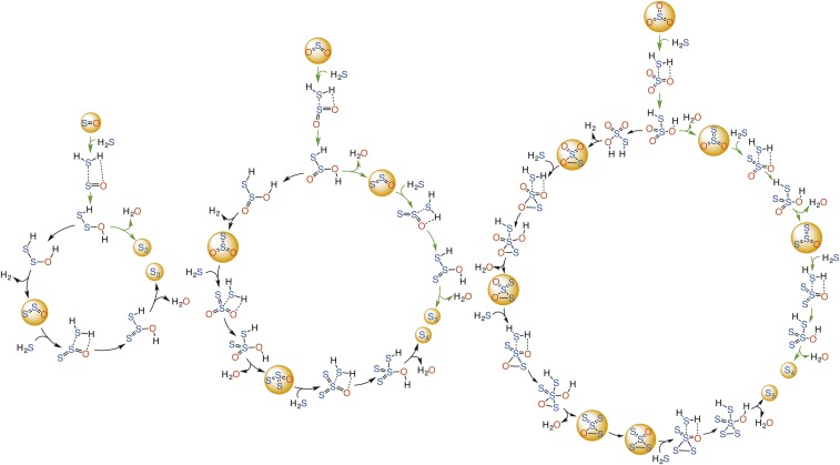 Scheme S1.