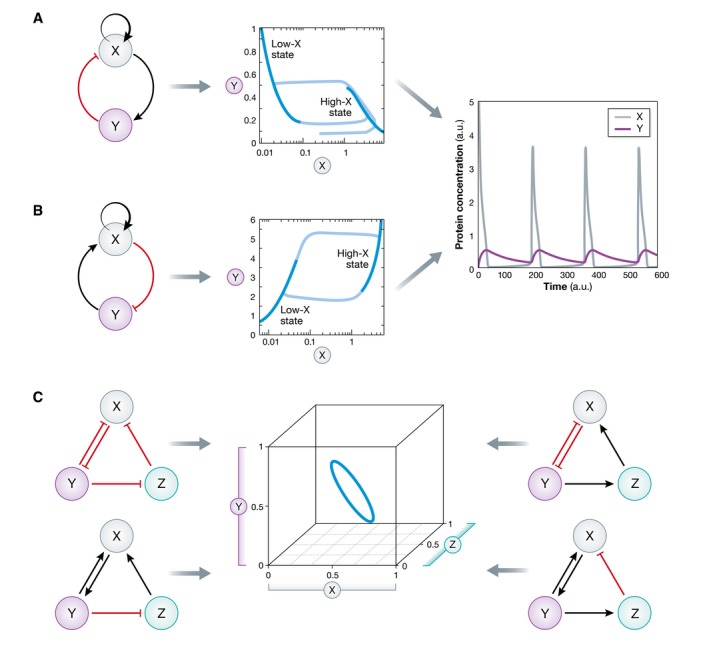 Figure for Box 3