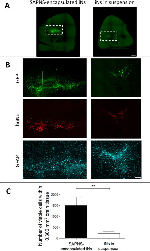 Figure 6.