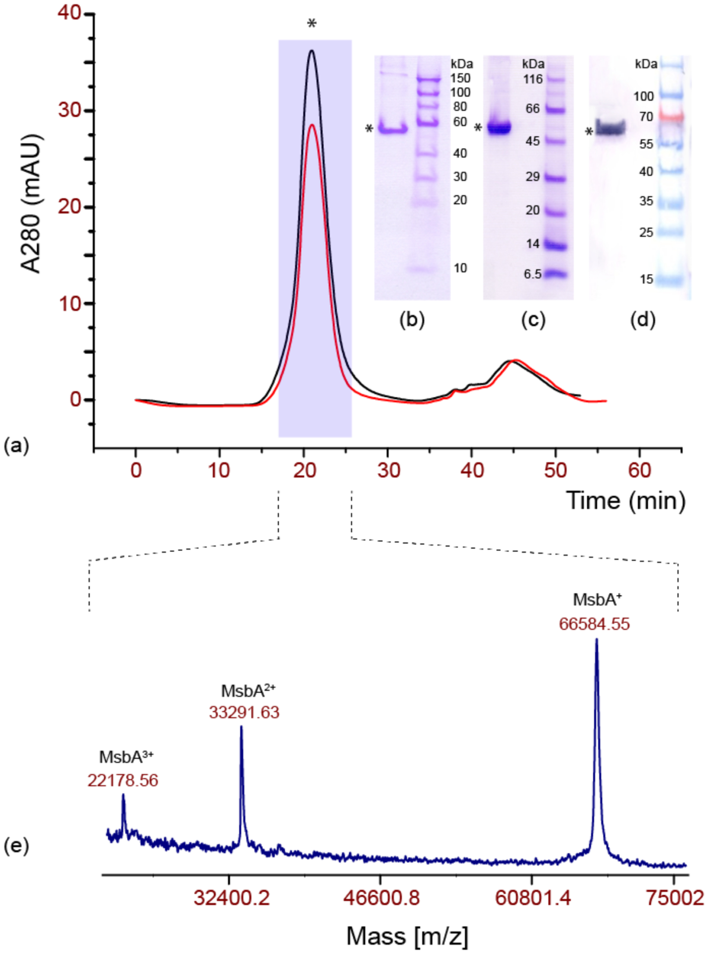 Figure 2: