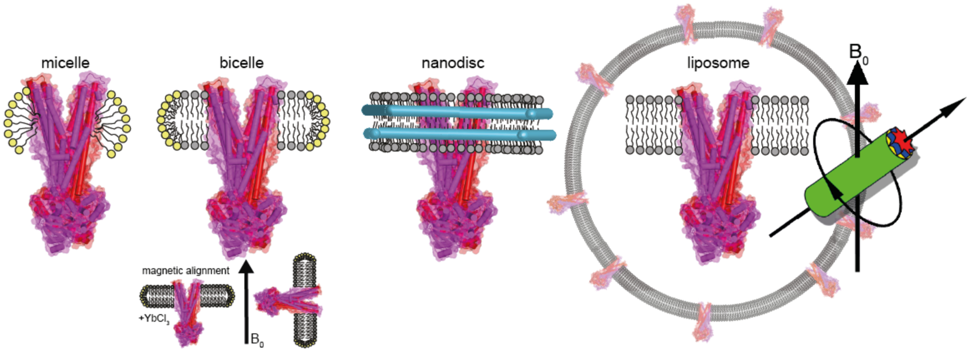 Figure 1: