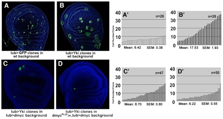 Figure 6