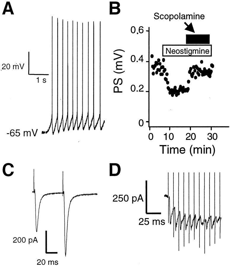 Fig. 2.